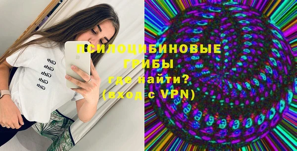 соль ск Аркадак